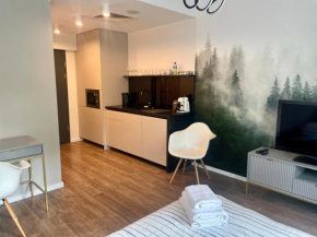Studio 208 w centrum z klimatyzacją